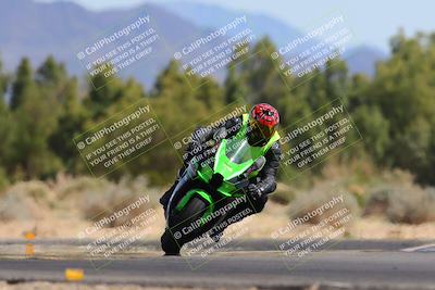 media/Mar-10-2024-SoCal Trackdays (Sun) [[6228d7c590]]/11-Turn 7 (130pm)/